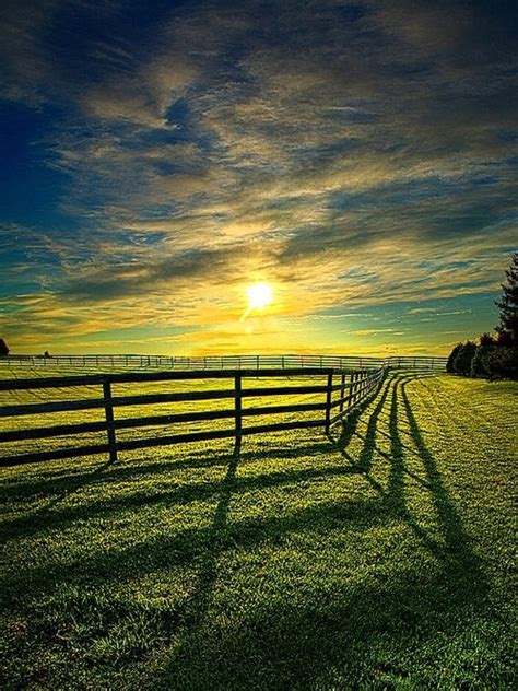 Check spelling or type a new query. 35 Fascinating Photos of Nature