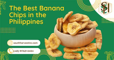 The Best Banana Chips In The Philippines Everything You Need To Know