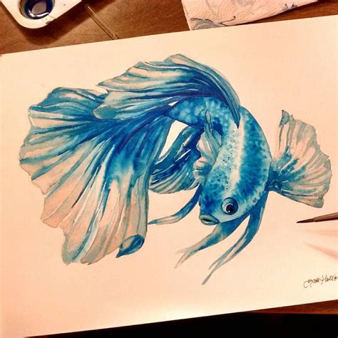 Kateholloman The Betta Fish A 9x12 Watercolor Painting This Was A
