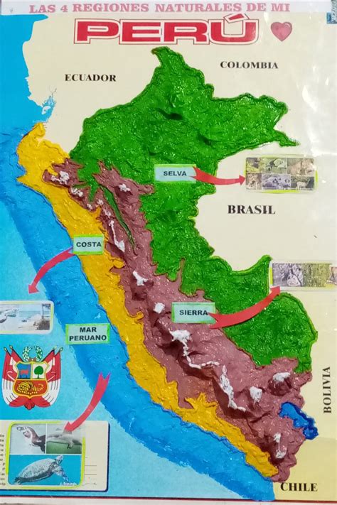 Mapa Conceptual De Las Regiones Naturales Del Peru Para Ninos