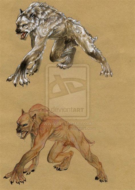 Werewolf Anatomy By Wolfer On Deviantart Were