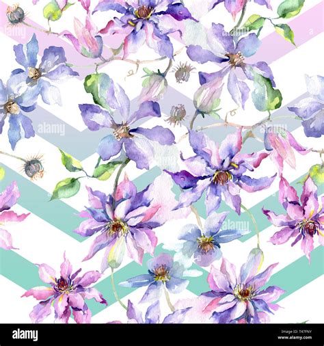 Blue Violet Clematis Bouquet Floral Botanical Flowers Watercolor