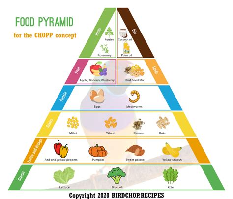With an overstuffed breadbasket as its base, the food guide pyramid failed to show that whole wheat, brown rice, and other whole grains are healthier. CHOPP™ and the Food Pyramid - Gouldian Finch Information ...