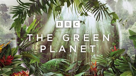 The Green Planet Live Stream How To Watch The New Bbc David