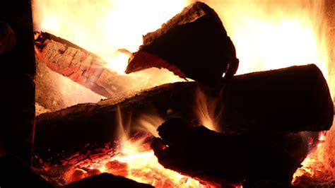 Campfire 2 Stock Footage Videohive