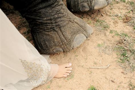 South African Safari Wedding With Elephants Popsugar Love And Sex Photo 42