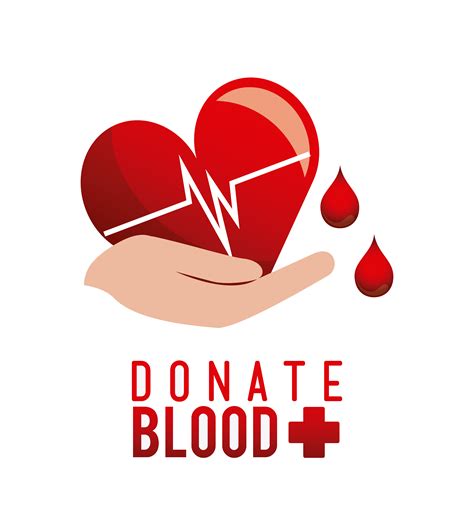 The Basics Of Blood Donation What You Need To Know