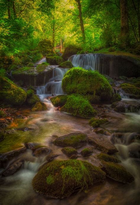 Mystic Forest Waterfall Photo By Oliver Wittmann Source