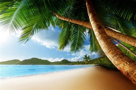 Free Download Caribbean Beach Wallpapers Caribbean Desktop Wallpapers