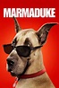 Marmaduke (2010) Película - PLAY Cine
