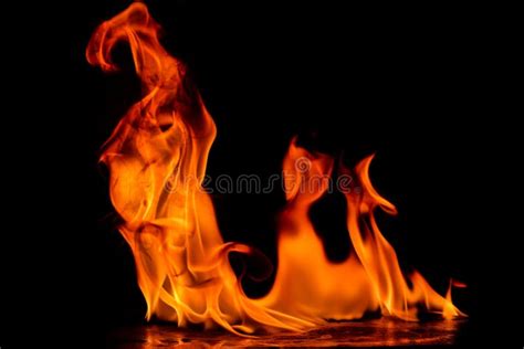 Beautiful Fire Flames Stock Photo Image Of Flammable 81401406