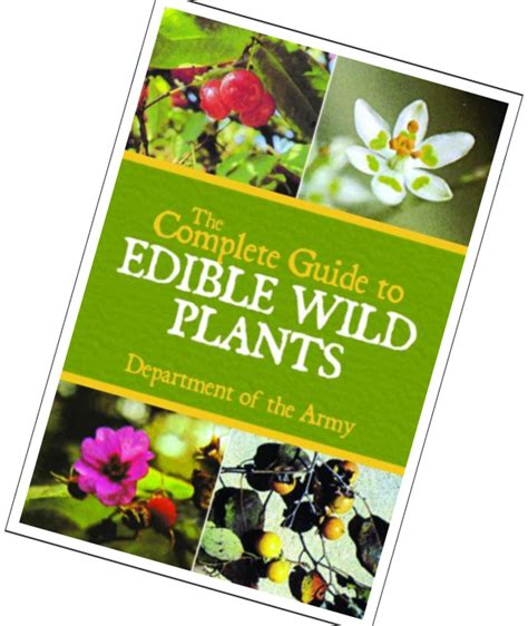 The Complete Guide To Edible Wild Plants The Guide Found And Used By Us