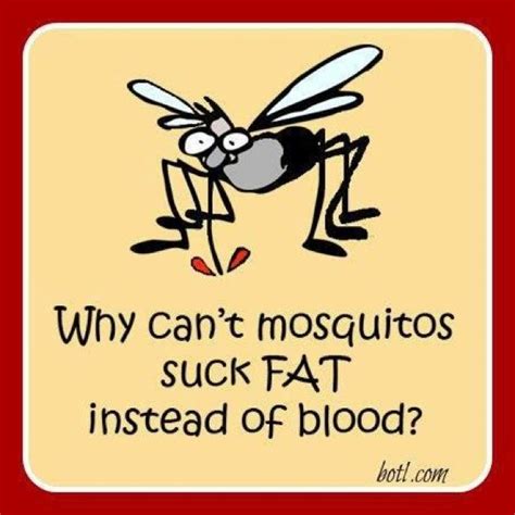 Mosquito Bites Funny Mosquito Funny Quotes Funny Jokes