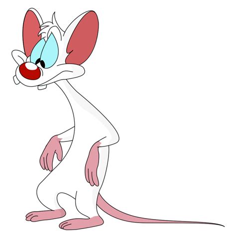 Pinky and the Brain Cartoon Goodies, images and videos png image