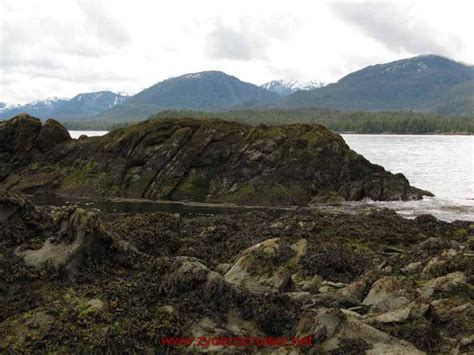 Ketchikan Mountain Point Snorkel Trip