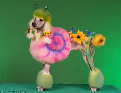 Directed by anthony chun, andy thom. The poodles transformed into pandas, horses and even ...