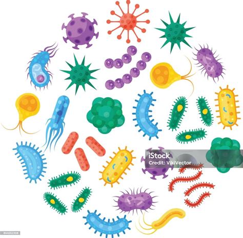 Bacteria And Microbes Vector Illustration Stock Illustration Download