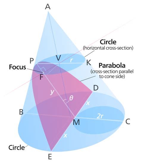 Another Description Of A Parabola Is As A Conic Section Created From
