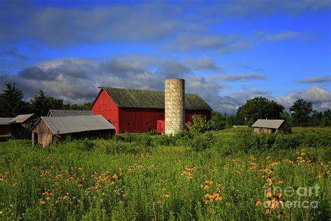 Farm Morning Photograph By Rachel Cohen Fine Art America