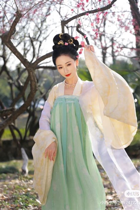 Hanfu🇨🇳・漢服 Chinese Tang Dynasty Traditional Clothing Hanfu In 2023