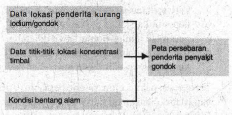 Perhatikan Bagan Berikut Berdasarkan Grafik