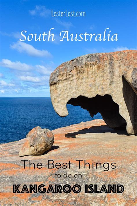 The Best Things To Do On Your Kangaroo Island Holidays Lesterlost