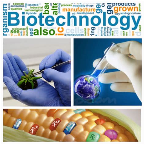 Biotechnology And Its Significances Rabinsxp Blog