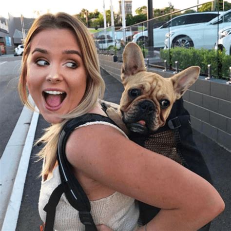 Find french bulldog in pets | find or rehome a dog, cat, bird, horse and more on kijiji: Air plus (With images) | Dog carrier, Dog backpack carrier ...