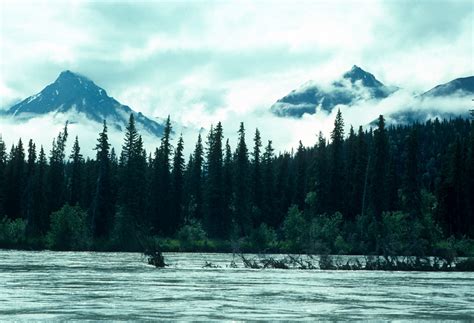 Tlikakila River Alaskaorg