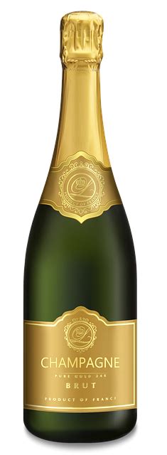 Illustration Gratuite Champagne Bouteille De Champagne Image