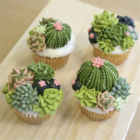 Shared By Career Path Design Cupcake Artist In 2019 Succulent