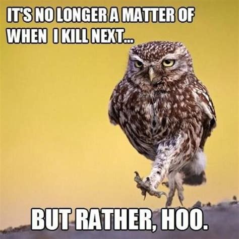 Clever Owl Quotes Quotesgram