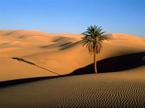 Beautiful Places In The World Sahara Desert Africa