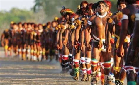 Guarani — les indiens guarani constituent les groupes les plus méridionaux de la famille tupi, la plus largement distribuée sur le continent sud américain au temps de sa découverte. Indígenas ameaçam suicídio coletivo caso sejam despejados