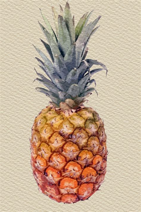 Pineapple Watercolor Painting Watercolor Pineapple Pineapple Art