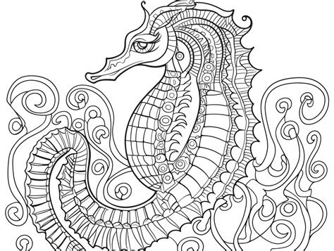 Underwater Seahorse Coloring Coloring Page