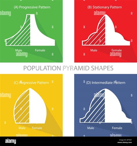 Population And Demography Illustration Set Of Four Types Of Population Pyramids Chart Or Age