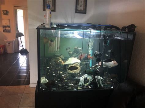 250 Gallon Fish Tank For Sale In Kissimmee Fl Offerup