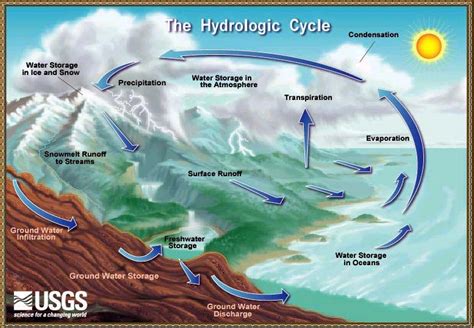 Aqua Cycle The Water Cycle