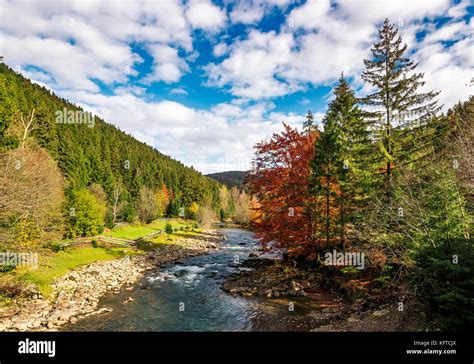 Gorgeous Autumn Landscape In Mountains Small River Flows Through Rural