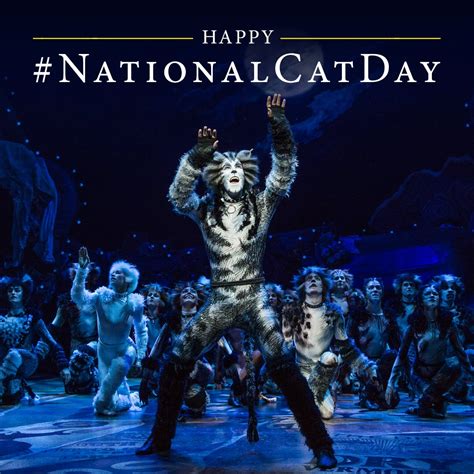 New york daily news |. CATS on Broadway on Twitter: "It's @NationalCatDay - when we all REJOICE! 😸 #CatsBroadway # ...