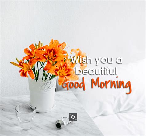 Explore these beautiful and romantic good morning quotes with images to have a good start. 30+ Sweet Good Morning Wishes Images Free Download 5 ...