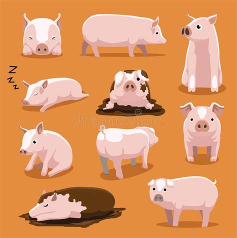 Cute White Pig Cartoon Poses Vector Illustration Stock Vector