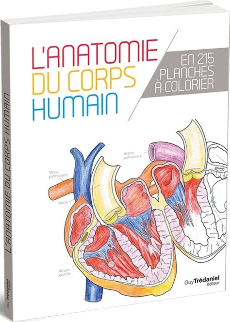 L anatomie du corps humain en 25 planches à colorier Collectif