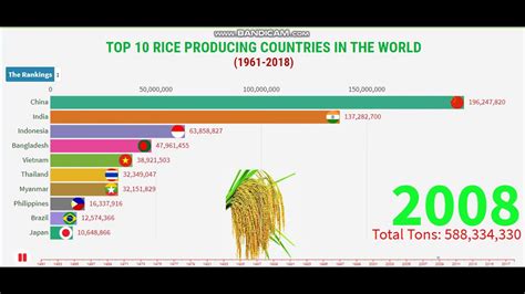 Top 10 Rice Producing Countries In The World 1961 2018 Largest Rice