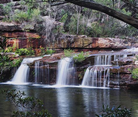 The Top 4 Places To Visit In The Royal National Park The Switch