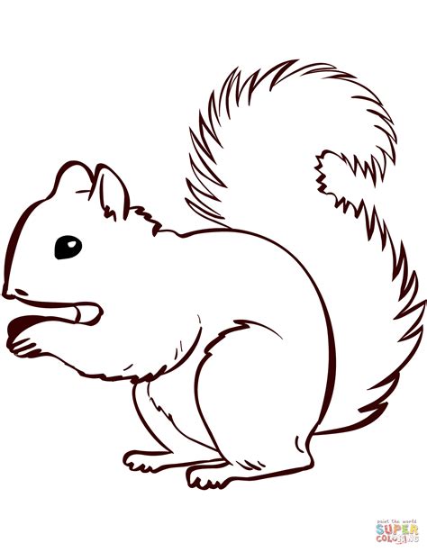 Squirrel Coloring Page Free Printable Coloring Pages