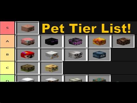 Hypixel Skyblock - Ranking ALL New Released Pets - YouTube