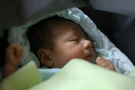 Fotos De Recién Nacidos Bebés Y Recién Nacidos