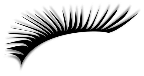 cartoon eyelash png